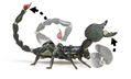 Revoltech Geo Vol.1: Pandinus Imperator thumbnail 10