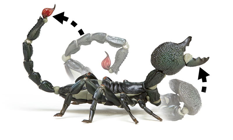 Revoltech Geo Vol.1: Pandinus Imperator image 10
