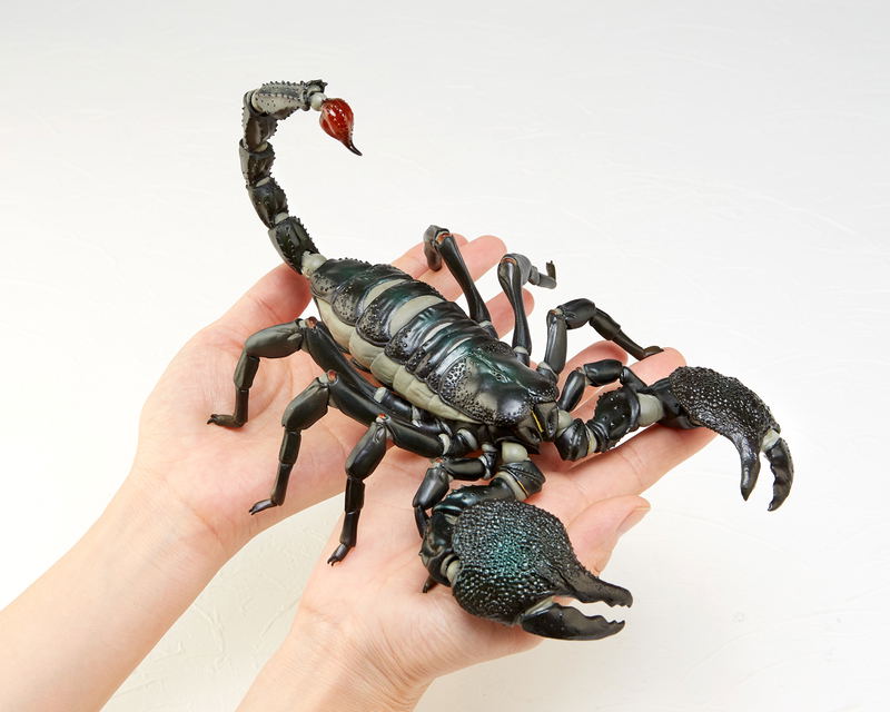 Revoltech Geo Vol.1: Pandinus Imperator image 11