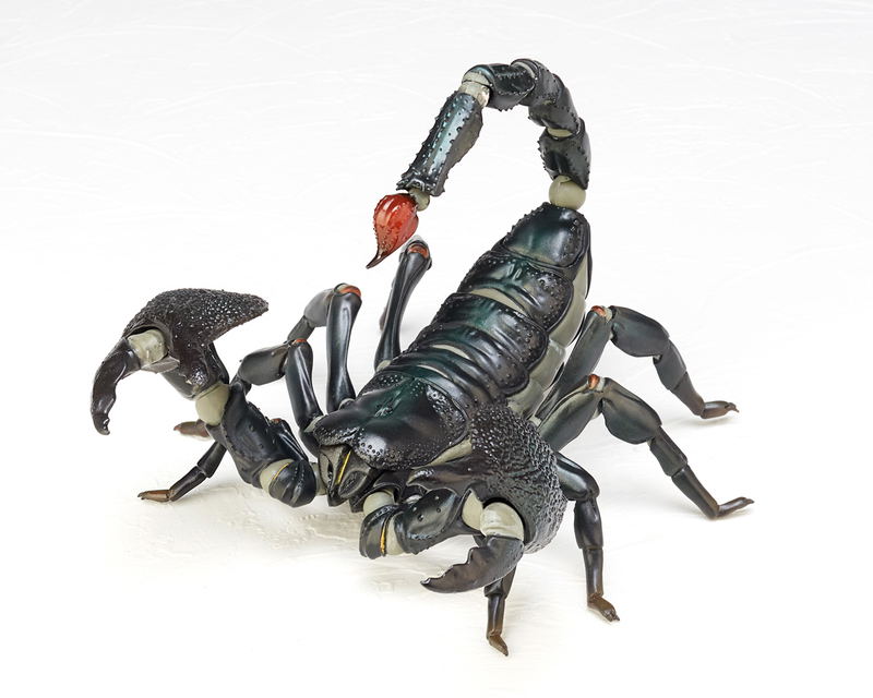Revoltech Geo Vol.1: Pandinus Imperator image 2