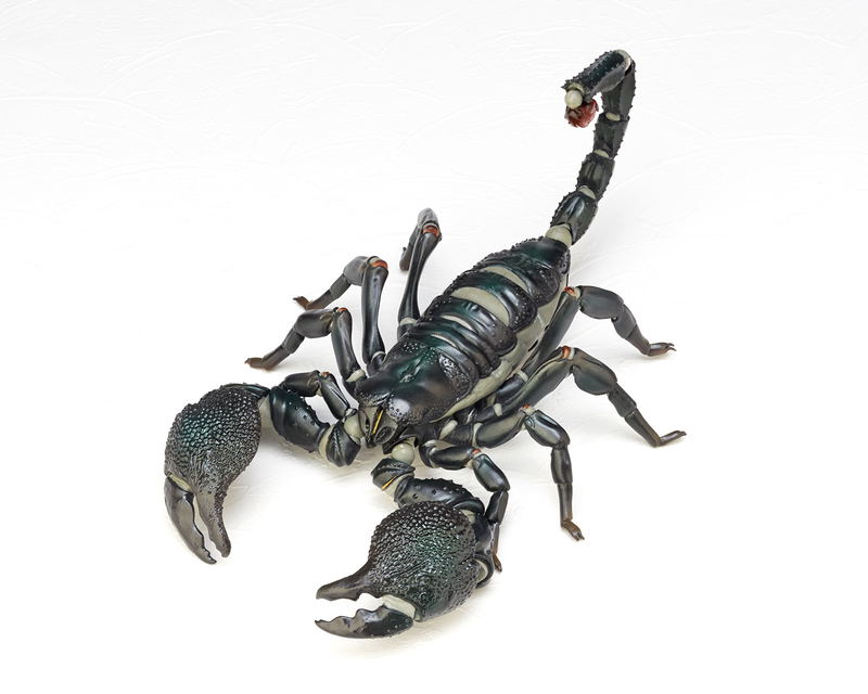 Revoltech Geo Vol.1: Pandinus Imperator image 3