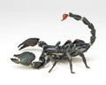 Revoltech Geo Vol.1: Pandinus Imperator thumbnail 5