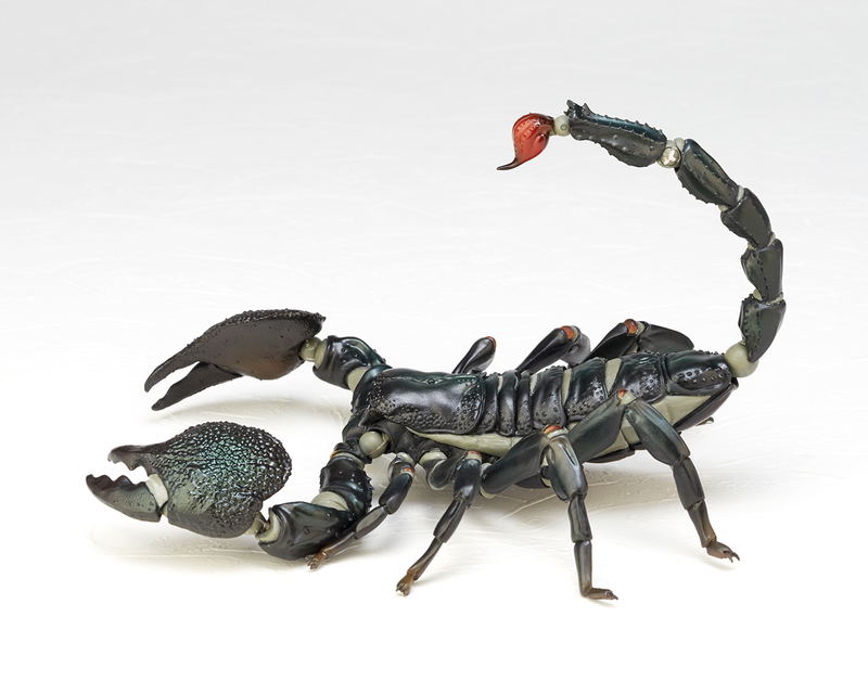 Revoltech Geo Vol.1: Pandinus Imperator image 5