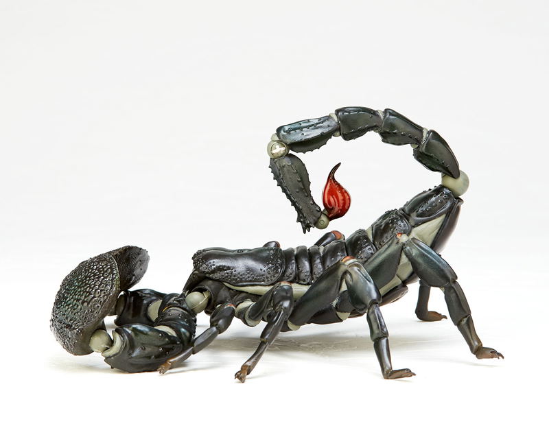 Revoltech Geo Vol.1: Pandinus Imperator image 8