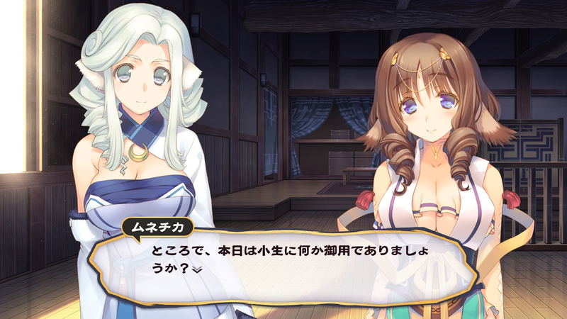Utawarerumono: Futari no Hakuoro (AQUAPRICE 2800) image 10