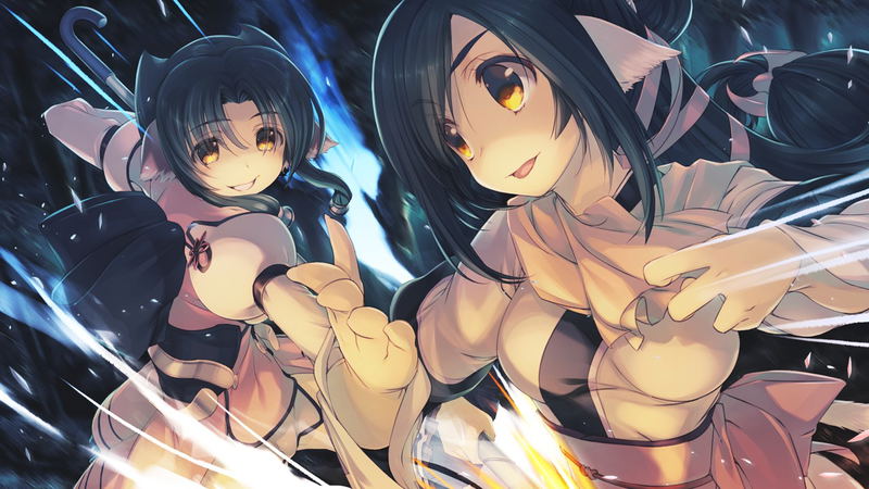 Utawarerumono: Futari no Hakuoro (AQUAPRICE 2800) image 7
