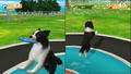FUN! FUN! Animal Park thumbnail 18