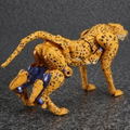 Transformers Masterpiece: MP-34 Cheetor (Beast Wars) (Re-run) thumbnail 10