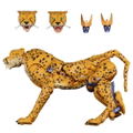 Transformers Masterpiece: MP-34 Cheetor (Beast Wars) (Re-run) thumbnail 3
