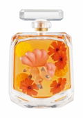 Pokemon Petite Fleur Deux (Set of 6 pieces) (Re-run) thumbnail 3