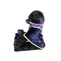 Code Geass Lelouch of the Re;surrection Plush: Teddy Bear Lelouch of the Re;surrection thumbnail 2