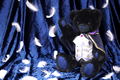 Code Geass Lelouch of the Re;surrection Plush: Teddy Bear Lelouch of the Re;surrection thumbnail 4