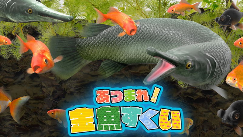 THE Variety Game Daishugo: Kingyo Sukui, Card, Suji Puzzle, Nikakudori image 2