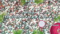 THE Variety Game Daishugo: Kingyo Sukui, Card, Suji Puzzle, Nikakudori thumbnail 4
