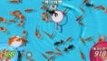 THE Variety Game Daishugo: Kingyo Sukui, Card, Suji Puzzle, Nikakudori thumbnail 5