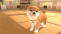 Little Friends: Dogs & Cats thumbnail 2