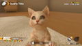 Little Friends: Dogs & Cats thumbnail 3