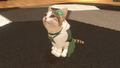 Little Friends: Dogs & Cats thumbnail 5