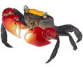 Revoltech Geo Vol.2: Red-Clawed Crab thumbnail 1
