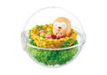 Pokemon Sun & Moon Terrarium Collection EX -Alola Ver. 2- (Set of 6 pieces) thumbnail 3