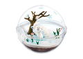 Pokemon Sun & Moon Terrarium Collection EX -Alola Ver. 2- (Set of 6 pieces) thumbnail 4