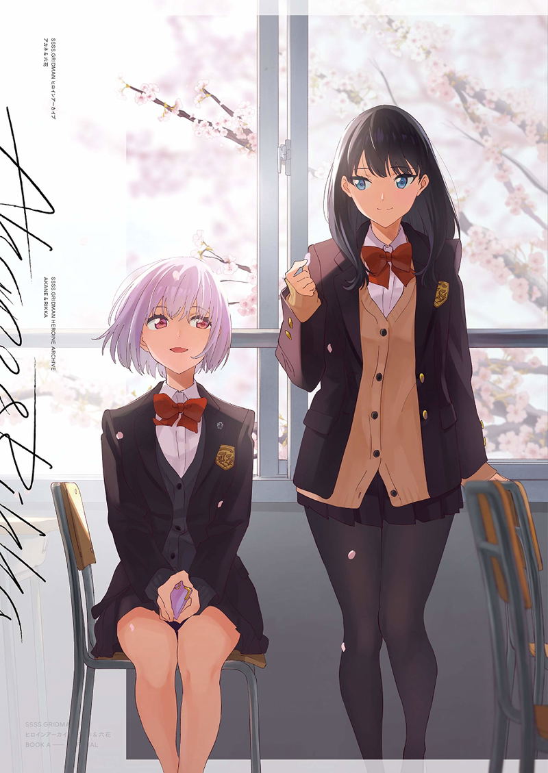 SSSS.Gridman Heroine Archive Akane And Rikka image 1