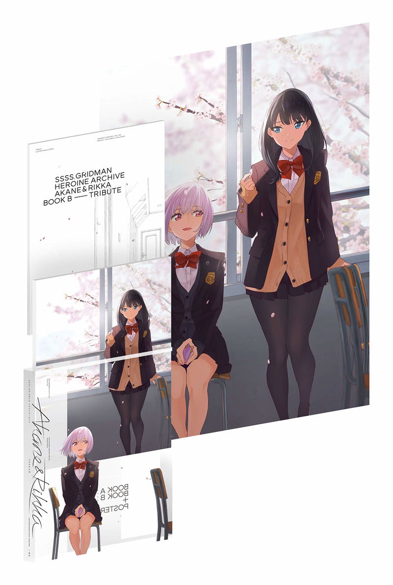 SSSS.Gridman Heroine Archive Akane And Rikka image 2
