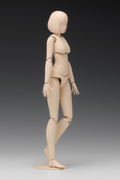 1/12 Scale Plastic Model Kit: Movable Body Female Type (A Ver.) thumbnail 4