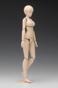 1/12 Scale Plastic Model Kit: Movable Body Female Type (B Ver.) thumbnail 4