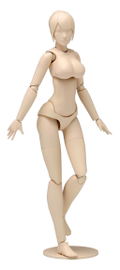 1/12 Scale Plastic Model Kit: Movable Body Female Type (C Ver.) thumbnail 1
