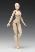 1/12 Scale Plastic Model Kit: Movable Body Female Type (C Ver.) thumbnail 2