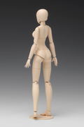 1/12 Scale Plastic Model Kit: Movable Body Female Type (C Ver.) thumbnail 7