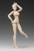 1/12 Scale Plastic Model Kit: Movable Body Female Type (C Ver.) thumbnail 8