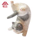 Animal Life Baby Yoga Cat (Set of 6 pieces) thumbnail 5