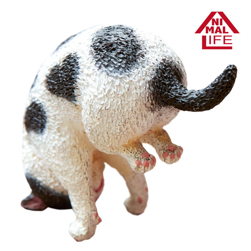 Animal Life Baby Yoga Cat (Set of 6 pieces) image 6