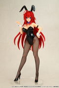 High School DxD Born 1/6 Scale Pre-Painted Figure: Rias Gremory Bunny Ver. (Re-run) thumbnail 6