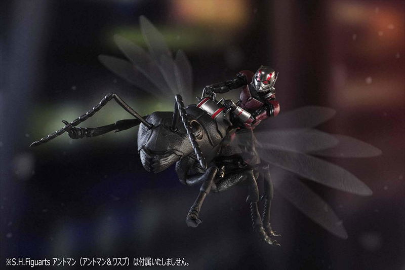 S.H.Figuarts Ant-Man and the Wasp: Ant image 2