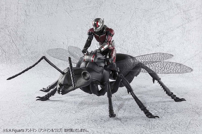 S.H.Figuarts Ant-Man and the Wasp: Ant image 3