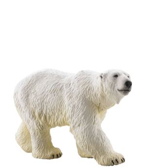 miniQ Wild Rush - True World Animal Journal III - Polar Region Arctic Circle (Set of 8 pieces)