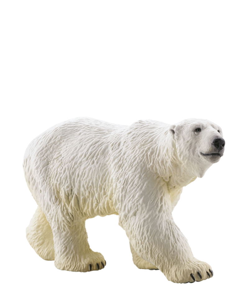 miniQ Wild Rush - True World Animal Journal III - Polar Region Arctic Circle (Set of 8 pieces) image 2