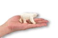miniQ Wild Rush - True World Animal Journal III - Polar Region Arctic Circle (Set of 8 pieces) thumbnail 7