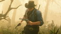 Red Dead Redemption II (Ultimate Edition) <span class="ext ext_digital">digital</span> thumbnail 8
