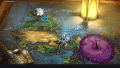 Blue-Winged Chevalier thumbnail 6