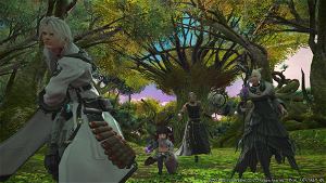 Final Fantasy XIV Online: Shadowbringers (DVD-ROM)