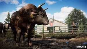 Far Cry 4 + Far Cry 5 Double Pack - Ps4