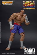 Ultra Street Fighter II The Final Challengers 1/12 Scale Pre-Painted Action Figure: Sagat thumbnail 10