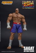 Ultra Street Fighter II The Final Challengers 1/12 Scale Pre-Painted Action Figure: Sagat thumbnail 11