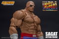 Ultra Street Fighter II The Final Challengers 1/12 Scale Pre-Painted Action Figure: Sagat thumbnail 14