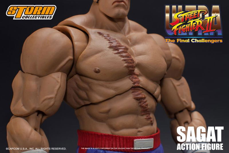 Ultra Street Fighter II The Final Challengers 1/12 Scale Pre-Painted Action Figure: Sagat image 15