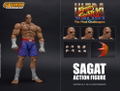 Ultra Street Fighter II The Final Challengers 1/12 Scale Pre-Painted Action Figure: Sagat thumbnail 16